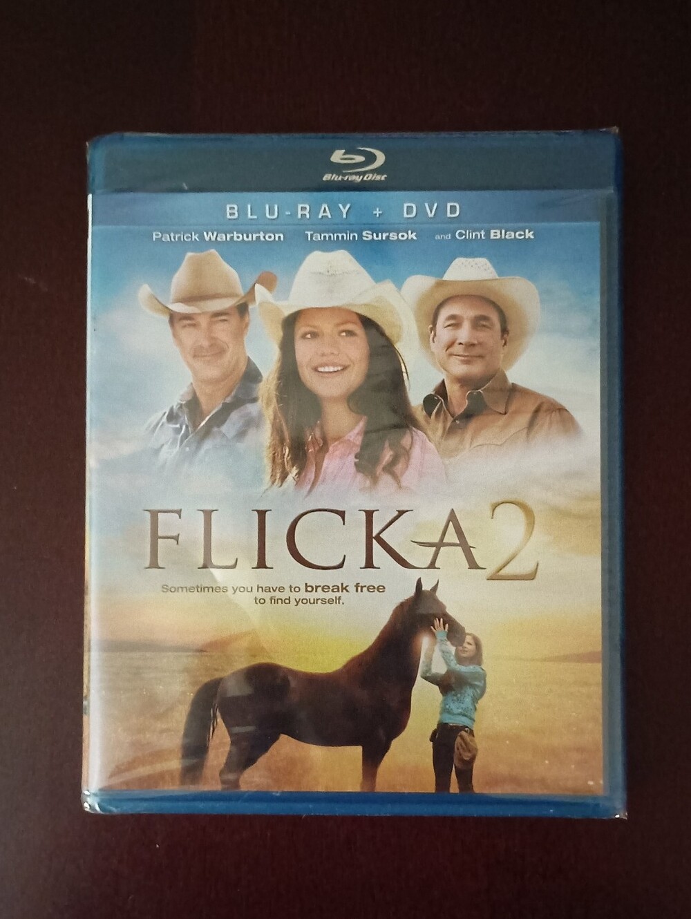 3/$10 🌟 NEW Flicka 2 Blu-ray + DVD Set